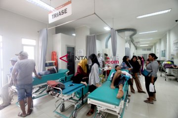 5 orang meninggal akibat DBD di Bogor