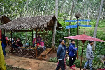 Pemanfaatan hutan karet untuk wisata kuliner