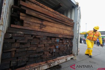 Polisi sita delapan truk bermuatan kayu ilegal