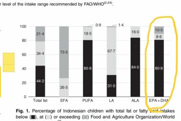 Lebih dari 80 persen anak Indonesia kekurangan DHA