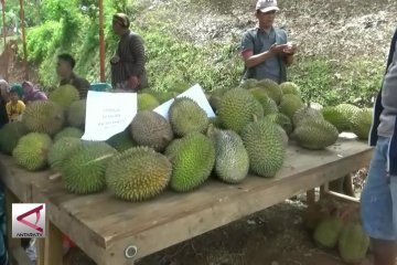 Festival Durian dongkrak potensi Wisata Madiun