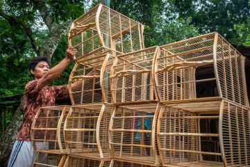 Kerajinan sangkar burung