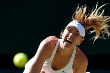 Cedera bahu, Sharapova mundur dari Italia Open