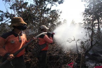 BMKG deteksi 68 titik panas di Riau