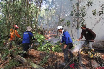 40 ha hutan lindung di Batam terbakar