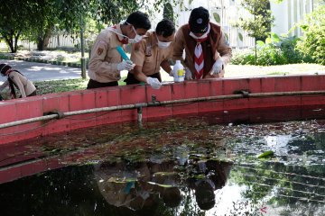 Pramuka digandeng Dinkes Temanggung berantas sarang nyamuk