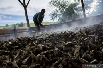 Gaplek Singkong Menembus Pasar China