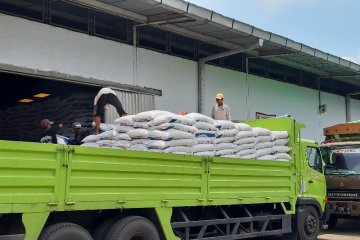 Menteri BUMN tinjau stok pupuk bersubsidi di Cianjur