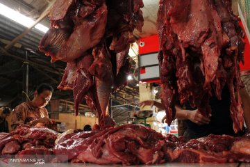 CIPS: Rantai distribusi daging sapi perlu dipangkas