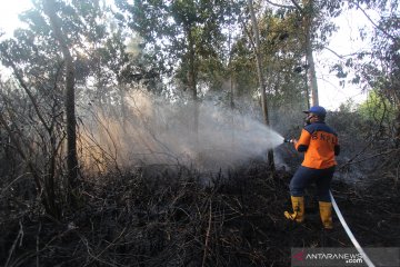 Kebakaran lahan dekat permukiman warga