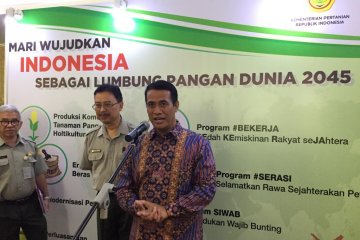 Mentan optimalisasi lahan rawa 500.000 hektare tahun ini