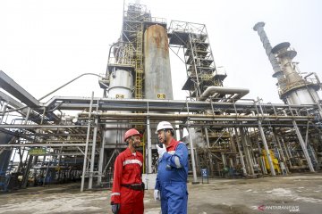 DEN ungkap cara Indonesia bisa bebas impor energi