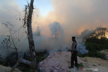 Api melalap 497,7 hektare lahan di Riau