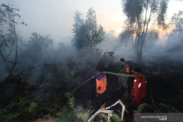 Jikalahari: titik panas terdeteksi di 13 area perusahaan di Riau