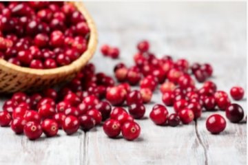 Produk buah cranberry berguna lawan infeksi saluran kemih