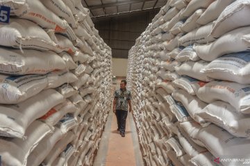 Sejumlah komoditas pangan di Jateng alami surplus