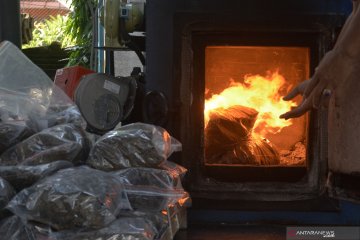 BNN Bali "bakar" 21 kilogram ganja