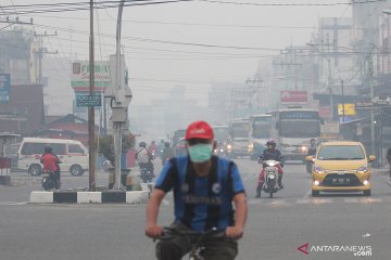 Kabut asap selimuti kota Dumai