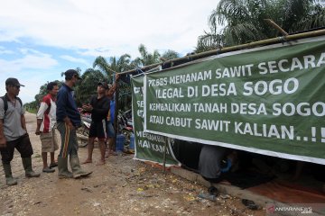 Konflik lahan di Jambi