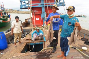 Ratusan kilogram ikan kapal nelayan Malaysia dimusnahkan