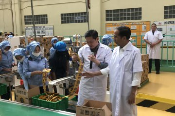 Presiden senang ada produk Indonesia "jajah" 100 negara