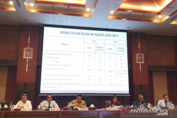 Menkeu: Januari 2019 defisit APBN Rp45 triliun, lebih tinggi dari sebelumnya