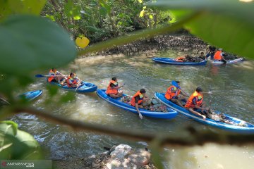 Jaga lingkungan, "susur mangrove" digelar Dinas Perikanan Denpasar