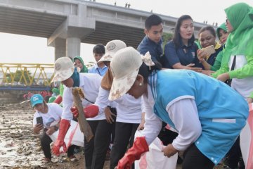 Oase Kabinet tanam mangrove di Kabupaten Pohuwato