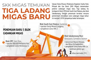 SKK Migas Temukan Tiga Ladang Migas Baru