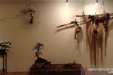 Pasar Seni Ancol menyelenggarakan pameran bonsai unik