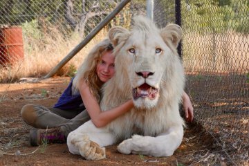 "Mia and the White Lion", persahabatan manusia dengan binatang liar