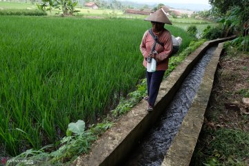 Sejak 2015 Pemerintah telah bangun irigasi bagi 3,13 juta ha sawah