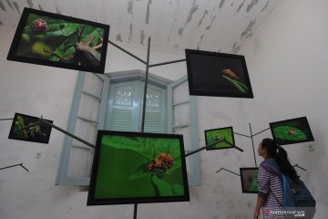 Pameran foto karya dosen Desain Komunikasi Visual