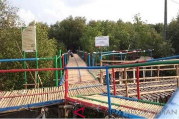 Ekowisata mangrove di Muaragembong Bekasi