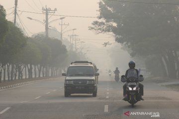Ribuan warga Riau sakit akibat terpapar asap karhutla