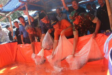 KKP bangkitkan kembali budi daya ikan di Pandeglang