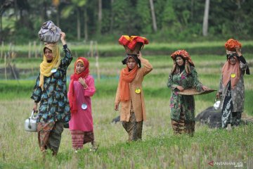 Kubu Gadang gelar peragaan busana tradisional di pematang sawah