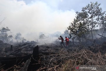 Gubernur Riau minta bupati-wali kota bentuk posko karhutla