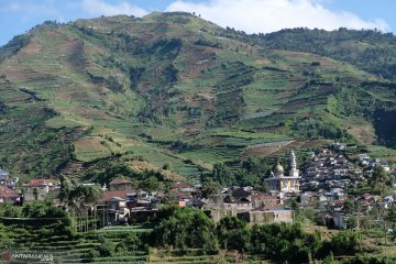 MUI Lebak haramkan telantarkan lahan