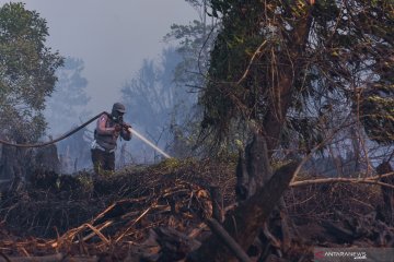 Satgas udara lanjutkan pemadaman Karhutla di Rokan Hilir