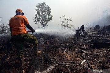 Riau siaga darurat Karhutla