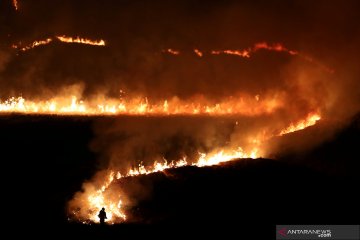 Satu Hektare Lahan Terbakar di Aceh Timur