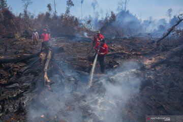 Pemadaman Karhutla Rupat Riau