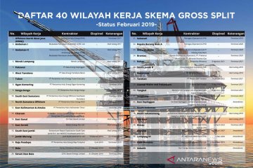 Sebanyak 40 kontraktor migas gunakan skema "gross split"