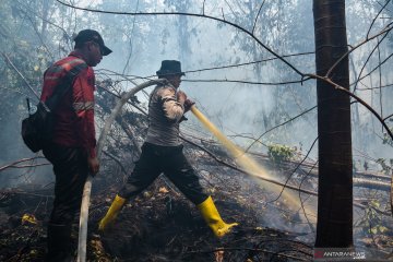 Setelah padam, upaya pencegahan karhutla diperkuat di Riau