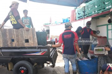 Aktivitas bongkar-muat di Pelabuhan Muara Baru normal