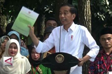 Presiden serahkan SK perhutanan sosial untuk 8.941 KK