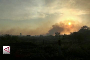 Kebakaran lahan timbulkan kerugian paling dahsyat