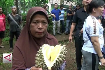 Lindungi petani durian banten dengan sertifikasi benih