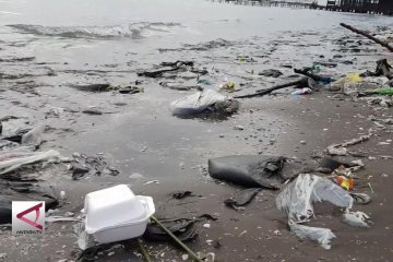 Menteri LHK bersihkan sampah di Pantai Pelabuhan Cirebon